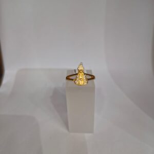 Anel Nossa Senhora Aro 17